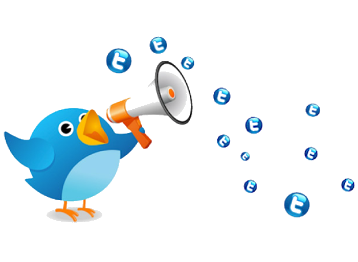 twitter promotion company in delhi